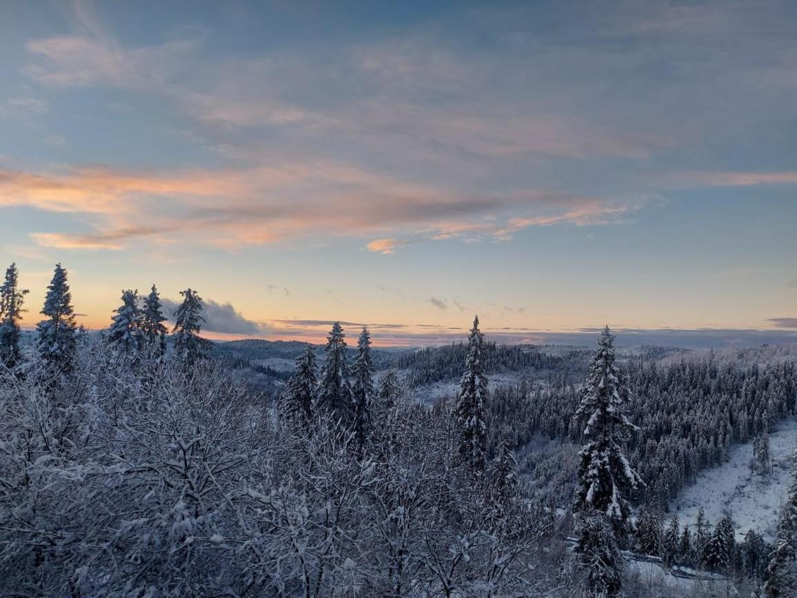 Затишок Tysovets Exterior foto